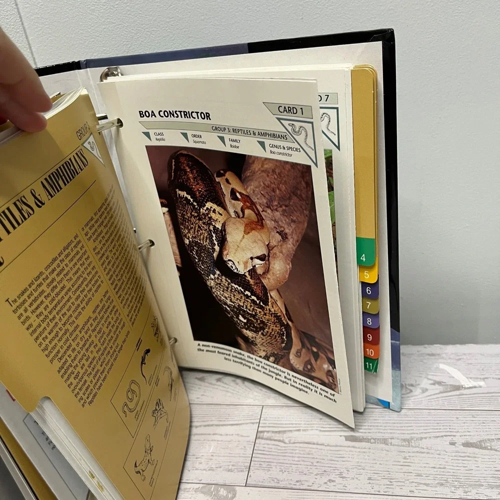 Wildlife Fact-File Binder Cards RANDOM Habitat Animals INCOMPLETE Over 40 cards
